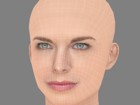 Голова Ханни Веддінгхем - без волосся - низькополігональна голова для гри 3D Модель