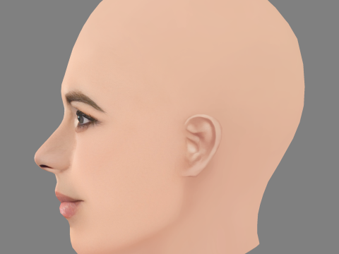 海莉·阿特维尔头 - 无头发 - 低聚游戏头 3D 模型