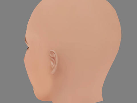 Heidi Klum Hoofd - Geen haar - Laag poly hoofd voor wild 3D Model