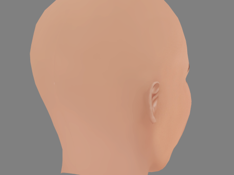 Heidi Klum Hoofd - Geen haar - Laag poly hoofd voor wild 3D Model