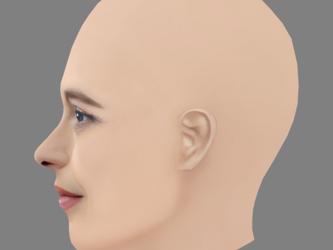 Helena Bonham Carter Head - No Hair - Tête low poly pour le jeu Modèle 3D