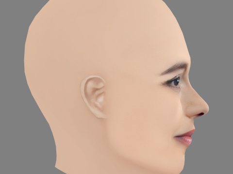 Helena Bonham Carter Head - No Hair - Tête low poly pour le jeu Modèle 3D