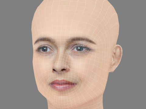 Helena Bonham Carter Head - No Hair - Tête low poly pour le jeu Modèle 3D