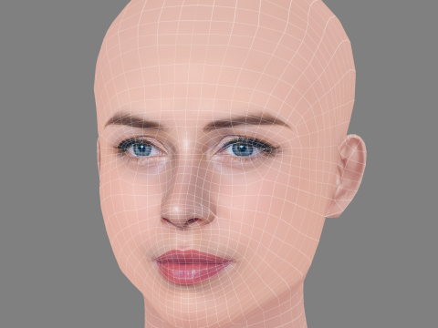 Hermione Corfield Head - Tanpa Rambut - Kepala poli rendah untuk permainan Model 3D