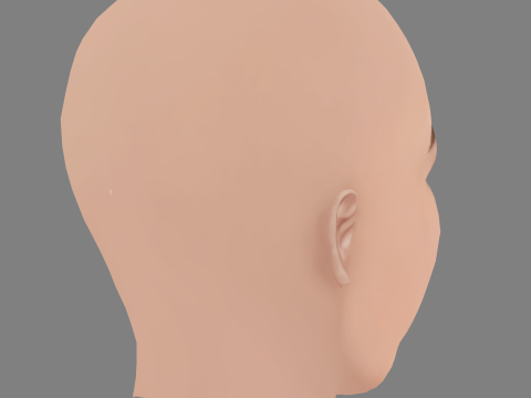 Jamie Chung Head - No Hair - Low poly head for game 3D Model