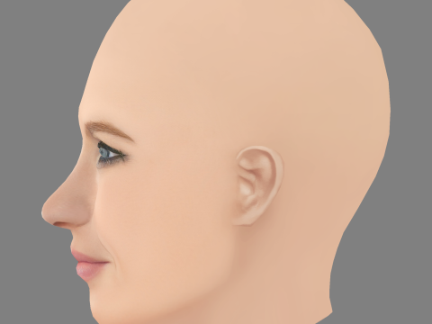 January Jones Head - No Hair - Low poly head para jogo Modelo 3D