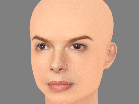 Głowa Jeanne Tripplehorn - No Hair - Głowa Low Poly do gry Model 3D