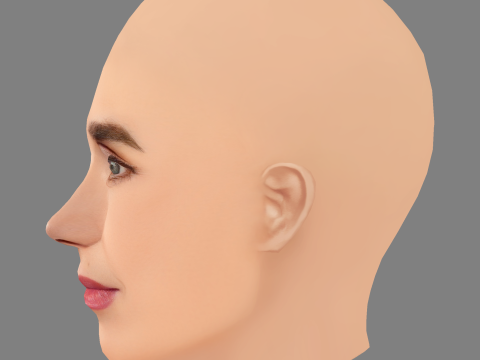 Голова Дженніфер Коннеллі - без волосся - низькополігональна голова для гри 3D Модель