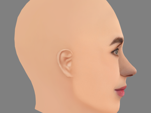 Голова Дженніфер Коннеллі - без волосся - низькополігональна голова для гри 3D Модель