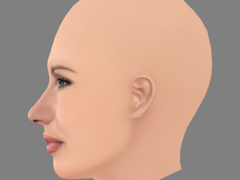 Jennifer Coolidge Head - Sem cabelo - Cabeça baixa poli para jogo Modelo 3D