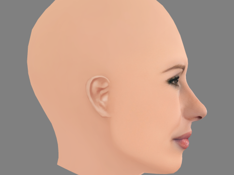 Jennifer Coolidge Head - Sem cabelo - Cabeça baixa poli para jogo Modelo 3D