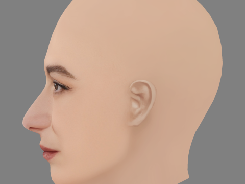 Jenny Slate Head - Sem cabelo - Cabeça baixa poli para jogo Modelo 3D
