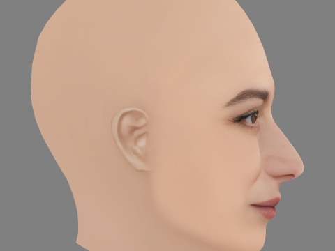 Jenny Slate Head - Sem cabelo - Cabeça baixa poli para jogo Modelo 3D
