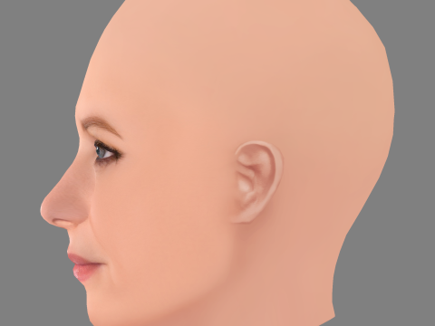 Jessica Capshaw Head - No Hair - Low poly head for game 3D Model