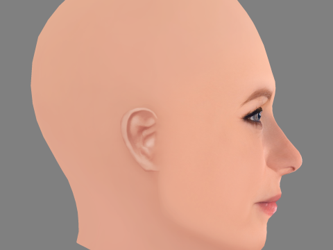 Jessica Capshaw Head - No Hair - Low poly head for game 3D Model