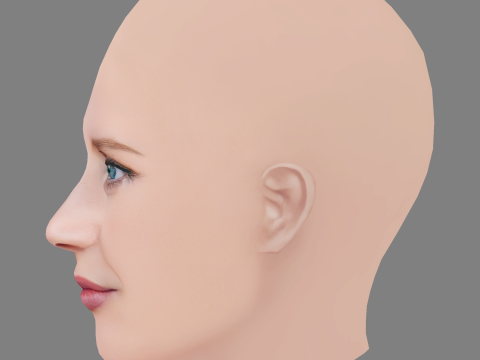 Jessica Chastain Head - No Hair - Laag poly hoofd voor wild 3D Model