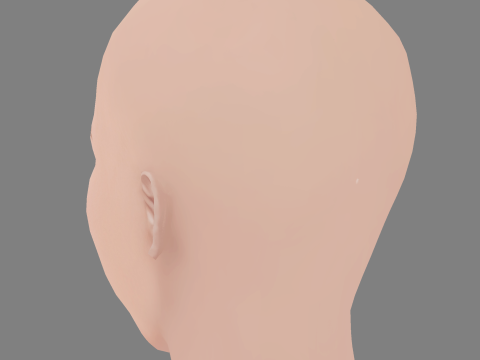 Jessica Chastain Head - No Hair - Laag poly hoofd voor wild 3D Model