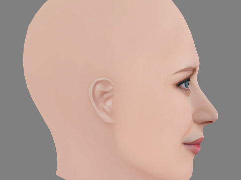 Jessica Chastain Head - No Hair - Laag poly hoofd voor wild 3D Model