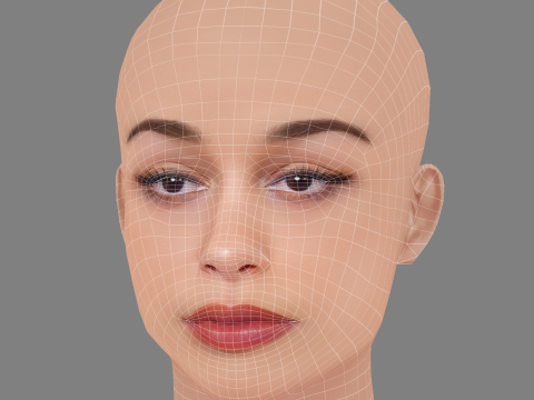 Голова Джоржі Сміта - без волосся - низькополігональна голова для гри 3D Модель