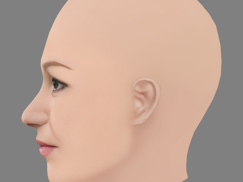 Голова Джулії Стайлз - без волосся - низькополігональна голова для гри 3D Модель