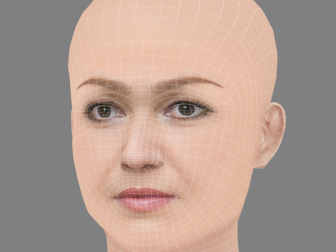 Голова Джулії Стайлз - без волосся - низькополігональна голова для гри 3D Модель