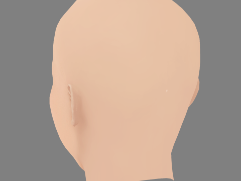 Julianne Hough Head - No Hair - Low poly head for game 3D Model