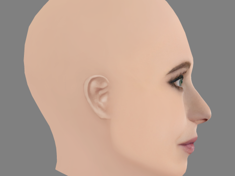 朱诺·坦普尔头 - 无头发 - 低聚游戏头 3D 模型