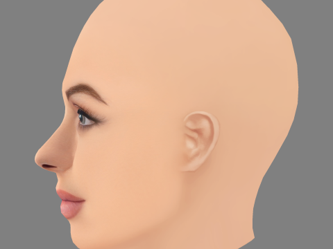 Голова Кароліни Бєлавської - без волосся - низькополігональна голова для гри 3D Модель