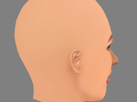 Karrueche Tran Head - No Hair - Low poly head for game 3D Model