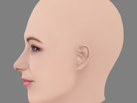 Голова Кейт Хадсон - без волосся - низькополігональна голова для гри 3D Модель