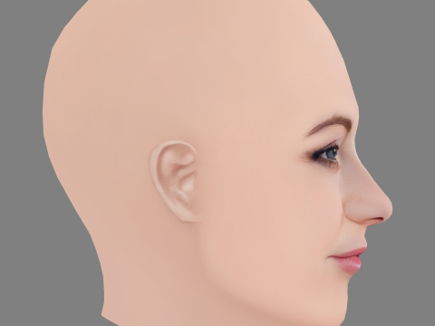 Голова Кейт Хадсон - без волосся - низькополігональна голова для гри 3D Модель