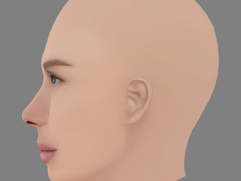 केट नौटा हेड - नो हेयर - गेम के लिए लो पॉली हेड 3D मॉडल