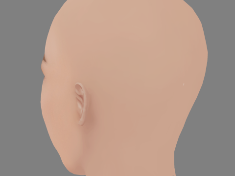 केट नौटा हेड - नो हेयर - गेम के लिए लो पॉली हेड 3D मॉडल