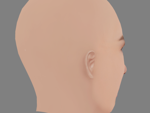 केट नौटा हेड - नो हेयर - गेम के लिए लो पॉली हेड 3D मॉडल