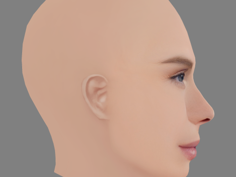 केट नौटा हेड - नो हेयर - गेम के लिए लो पॉली हेड 3D मॉडल