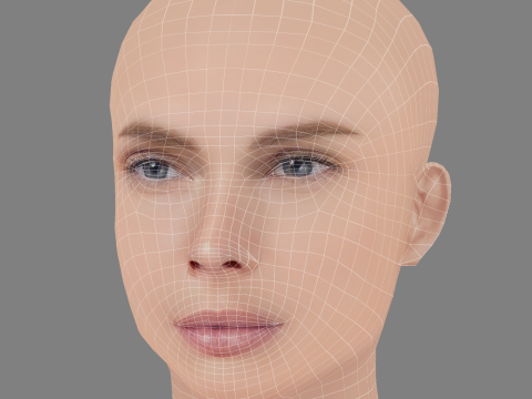 केट नौटा हेड - नो हेयर - गेम के लिए लो पॉली हेड 3D मॉडल