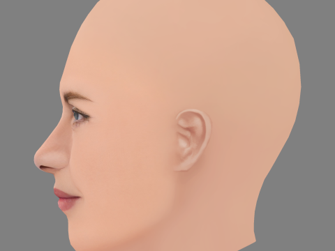 ケイト・ウィンスレット ヘッド - 髪なし - ゲーム用の低ポリヘッド 3Dモデル