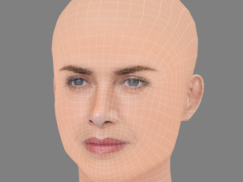 ケイト・ウィンスレット ヘッド - 髪なし - ゲーム用の低ポリヘッド 3Dモデル