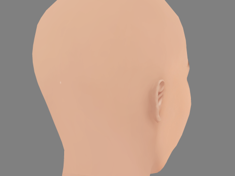 Голова Кетрін Хейгл - без волосся - низькополігональна голова для гри 3D Модель