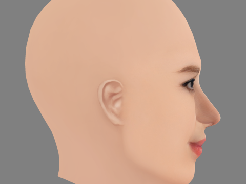 Голова Кетрін Хейгл - без волосся - низькополігональна голова для гри 3D Модель