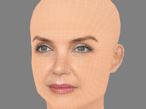 Katie Holmes Head - Sem cabelo - Cabeça baixa poli para jogo Modelo 3D