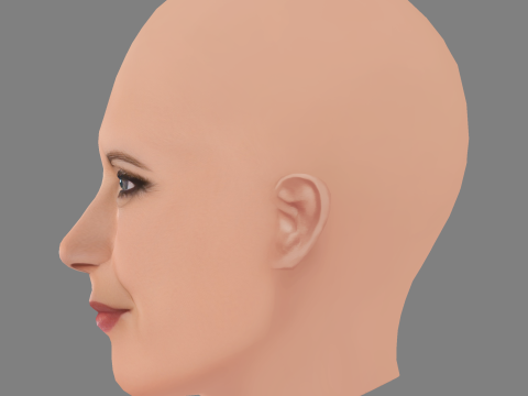 Kelly Preston Head - No Hair - Low poly head for game 3D Model