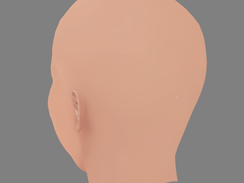 Kelly Preston Head - No Hair - Low poly head for game 3D Model