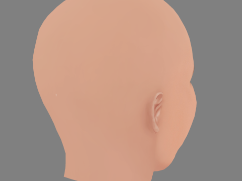 Kelly Preston Head - No Hair - Low poly head for game 3D Model