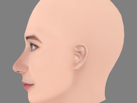 Kensington Tallman Head - No Hair - Low poly голова для гри 3D Модель