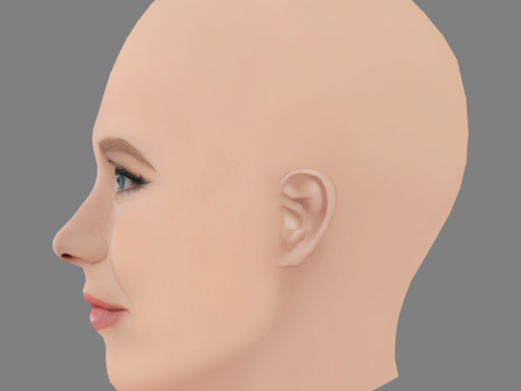 Голова Кристен Белл - Без волос - Низкополигональная голова для игры 3D Модель