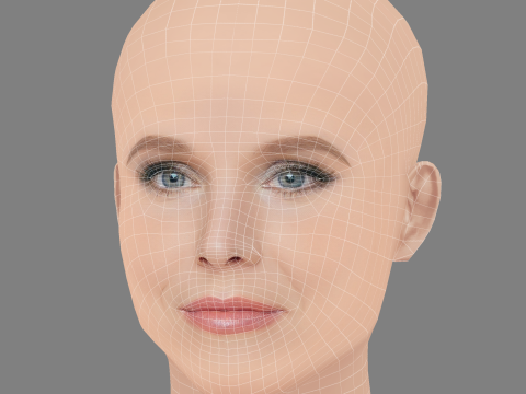 Голова Кристен Белл - Без волос - Низкополигональная голова для игры 3D Модель