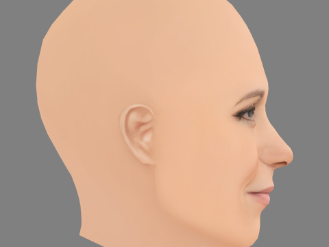 Голова Крістен Віг - без волосся - низькополігональна голова для гри 3D Модель