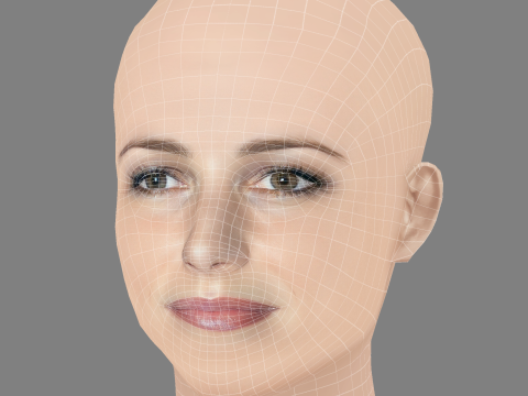 克里斯汀·戴维斯头 - 无头发 - 低聚游戏头 3D 模型