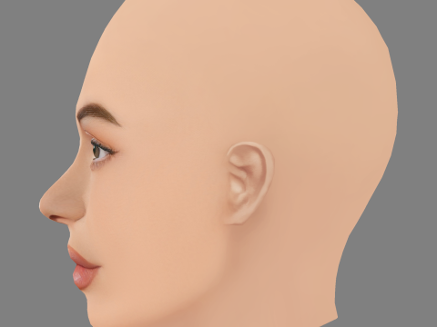 Голова Кайлі Дженнер - без волосся - низькополігональна голова для гри 3D Модель